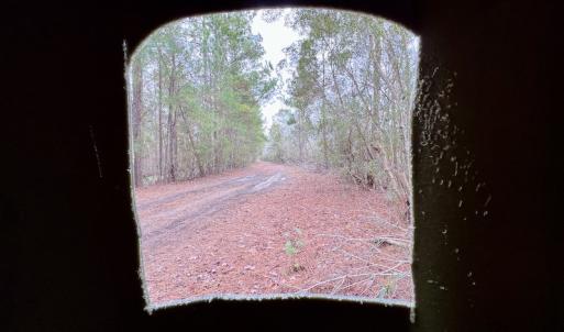 Photo #66 of SOLD property in Off US HWY 64, Columbia, NC 209.0 acres