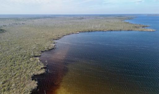 Photo #7 of SOLD property in Off US HWY 64, Columbia, NC 209.0 acres