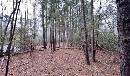 Photo #67 of SOLD property in Off US HWY 64, Columbia, NC 209.0 acres