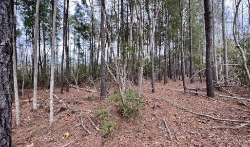 Photo #70 of SOLD property in Off US HWY 64, Columbia, NC 209.0 acres
