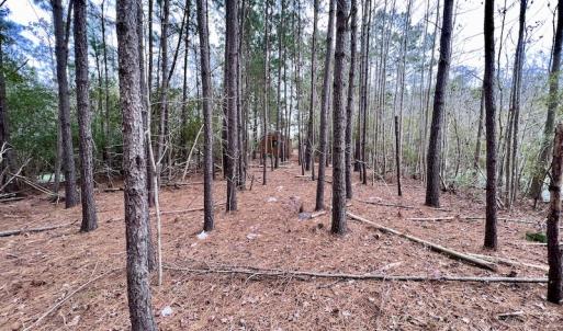 Photo #71 of SOLD property in Off US HWY 64, Columbia, NC 209.0 acres