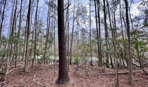 Photo #72 of SOLD property in Off US HWY 64, Columbia, NC 209.0 acres