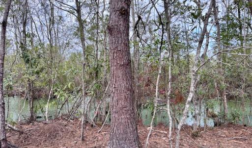 Photo #75 of SOLD property in Off US HWY 64, Columbia, NC 209.0 acres