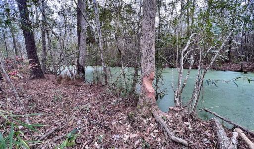 Photo #76 of SOLD property in Off US HWY 64, Columbia, NC 209.0 acres