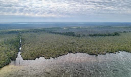 Photo #8 of SOLD property in Off US HWY 64, Columbia, NC 209.0 acres