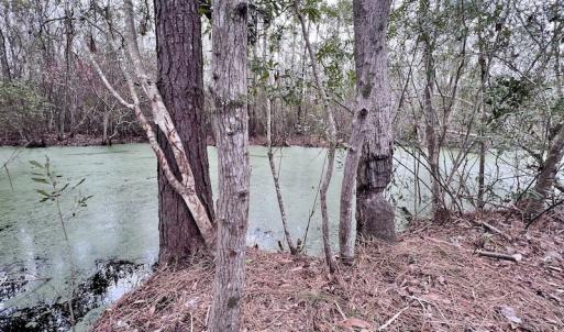 Photo #77 of SOLD property in Off US HWY 64, Columbia, NC 209.0 acres