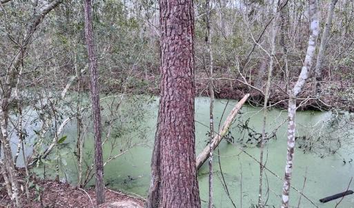 Photo #78 of SOLD property in Off US HWY 64, Columbia, NC 209.0 acres