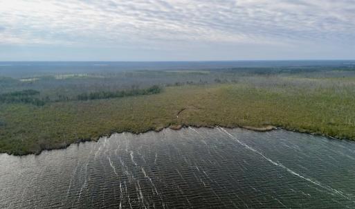 Photo #9 of SOLD property in Off US HWY 64, Columbia, NC 209.0 acres