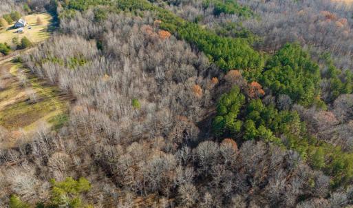 Photo #24 of SOLD property in Off Loundermon's Way, Pelham, NC 10.2 acres
