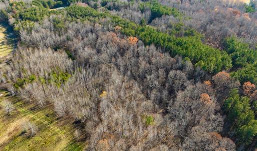 Photo #26 of SOLD property in Off Loundermon's Way, Pelham, NC 10.2 acres