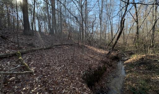 Photo #27 of SOLD property in Off Loundermon's Way, Pelham, NC 10.2 acres