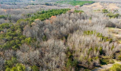 Photo #29 of SOLD property in Off Loundermon's Way, Pelham, NC 10.2 acres