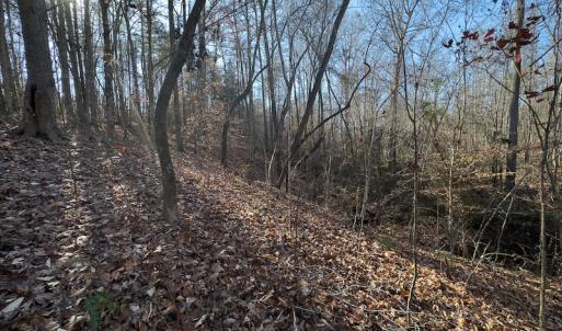 Photo #31 of SOLD property in Off Loundermon's Way, Pelham, NC 10.2 acres