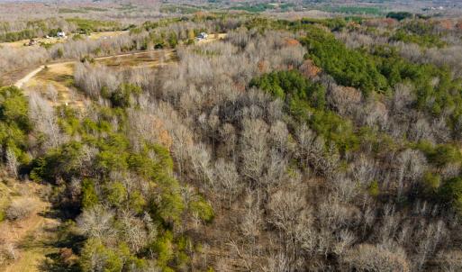 Photo #33 of SOLD property in Off Loundermon's Way, Pelham, NC 10.2 acres