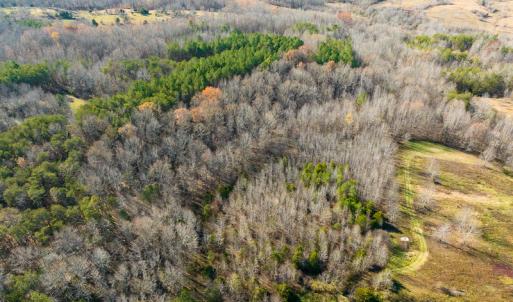 Photo #3 of SOLD property in Off Loundermon's Way, Pelham, NC 10.2 acres