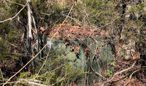 Photo #4 of SOLD property in Off Loundermon's Way, Pelham, NC 10.2 acres