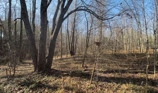 Photo #5 of SOLD property in Off Loundermon's Way, Pelham, NC 10.2 acres