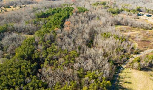 Photo #8 of SOLD property in Off Loundermon's Way, Pelham, NC 10.2 acres