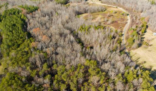 Photo #10 of SOLD property in Off Loundermon's Way, Pelham, NC 10.2 acres