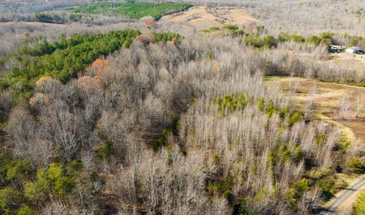 Photo #12 of SOLD property in Off Loundermon's Way, Pelham, NC 10.2 acres
