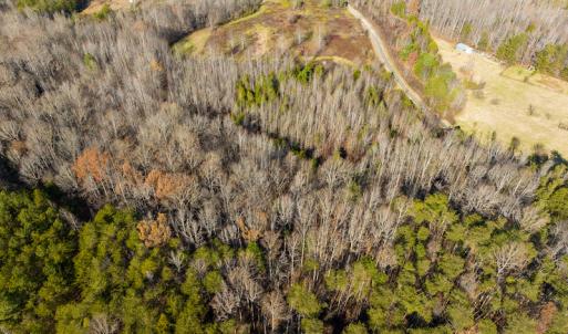 Photo #13 of SOLD property in Off Loundermon's Way, Pelham, NC 10.2 acres