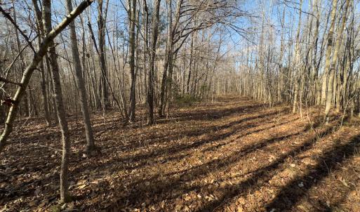Photo #14 of SOLD property in Off Loundermon's Way, Pelham, NC 10.2 acres