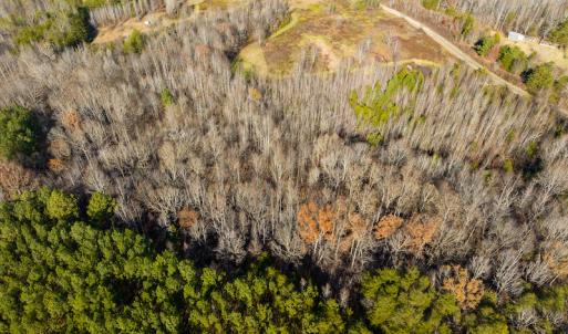 Photo #16 of SOLD property in Off Loundermon's Way, Pelham, NC 10.2 acres