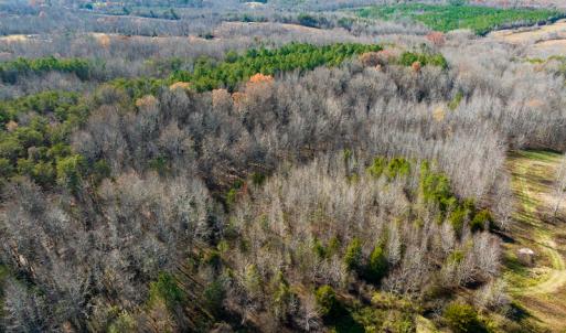 Photo #17 of SOLD property in Off Loundermon's Way, Pelham, NC 10.2 acres