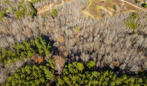 Photo #19 of SOLD property in Off Loundermon's Way, Pelham, NC 10.2 acres