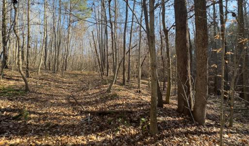 Photo #21 of SOLD property in Off Loundermon's Way, Pelham, NC 10.2 acres