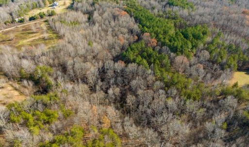 Photo #22 of SOLD property in Off Loundermon's Way, Pelham, NC 10.2 acres