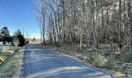 Photo #10 of SOLD property in Off Elmore Road, Painter, VA 30.5 acres