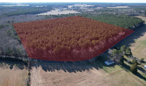 Photo #2 of SOLD property in Off Elmore Road, Painter, VA 30.5 acres