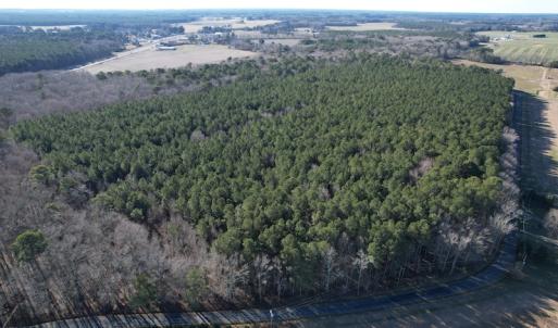 Photo #4 of SOLD property in Off Elmore Road, Painter, VA 30.5 acres