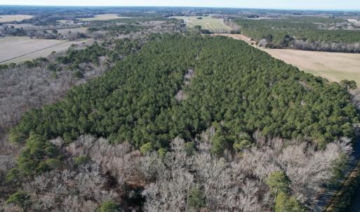 Photo #5 of SOLD property in Off Elmore Road, Painter, VA 30.5 acres