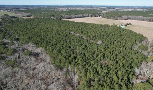 Photo #6 of SOLD property in Off Elmore Road, Painter, VA 30.5 acres