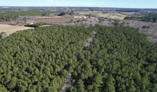 Photo #8 of SOLD property in Off Elmore Road, Painter, VA 30.5 acres