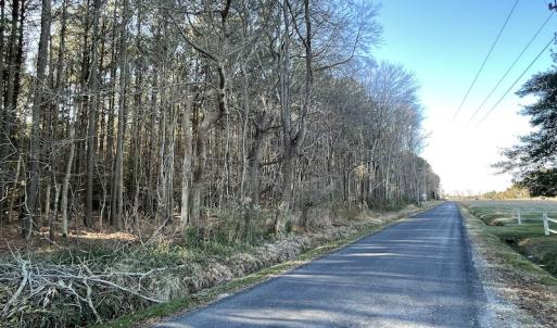 Photo #9 of SOLD property in Off Elmore Road, Painter, VA 30.5 acres
