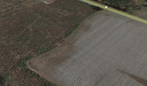 Photo #7 of SOLD property in 3979 Carolina Road, Suffolk, VA 16.6 acres
