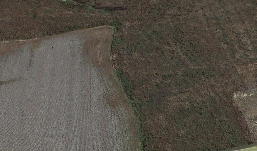 Photo #8 of SOLD property in 3979 Carolina Road, Suffolk, VA 16.6 acres