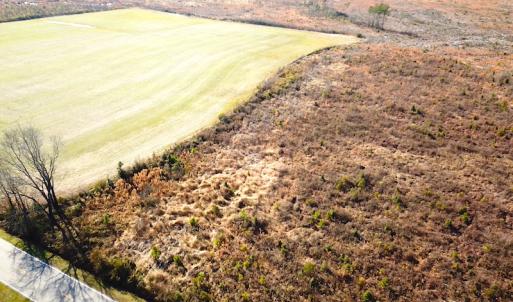 Photo #2 of SOLD property in 3979 Carolina Road, Suffolk, VA 16.6 acres