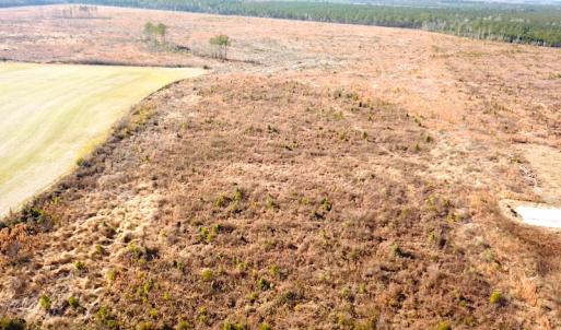 Photo #3 of SOLD property in 3979 Carolina Road, Suffolk, VA 16.6 acres