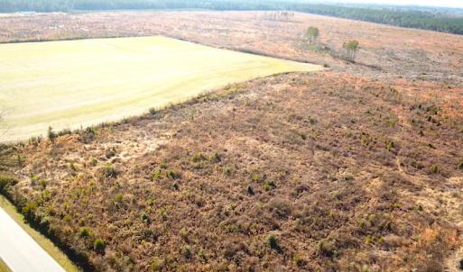 Photo #4 of SOLD property in 3979 Carolina Road, Suffolk, VA 16.6 acres