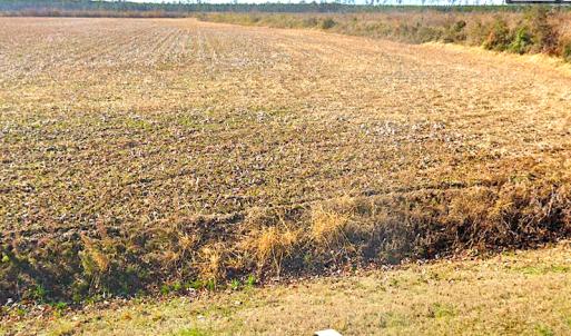 Photo #5 of SOLD property in 3979 Carolina Road, Suffolk, VA 16.6 acres