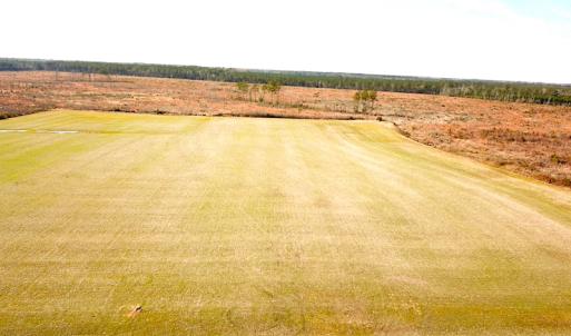 Photo #4 of SOLD property in 3983 Carolina Road, Suffolk, VA 19.0 acres