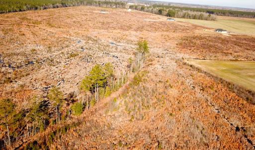 Photo #3 of SOLD property in 3983 Carolina Road, Suffolk, VA 19.0 acres