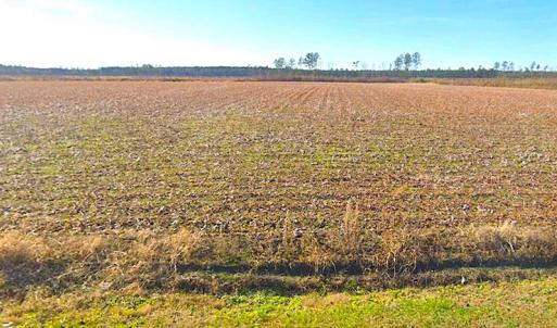 Photo #5 of SOLD property in 3983 Carolina Road, Suffolk, VA 19.0 acres