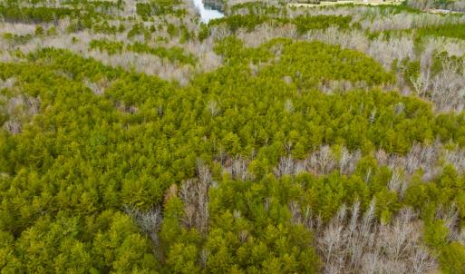 Photo #34 of SOLD property in Off Bowmantown Road, Roxboro, NC 49.5 acres