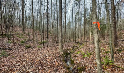 Photo #35 of SOLD property in Off Bowmantown Road, Roxboro, NC 49.5 acres