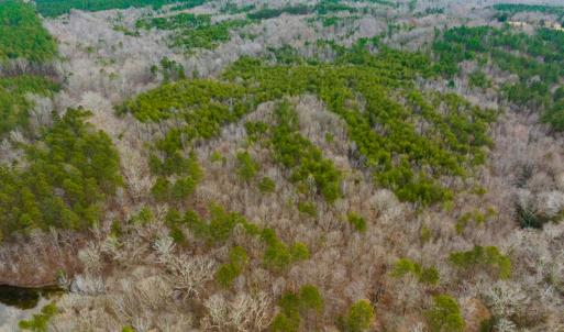 Photo #36 of SOLD property in Off Bowmantown Road, Roxboro, NC 49.5 acres